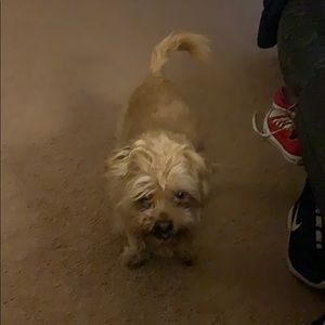 Meet your Posher, Robyn